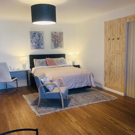 Lux Studio In Dunedin Central Dış mekan fotoğraf